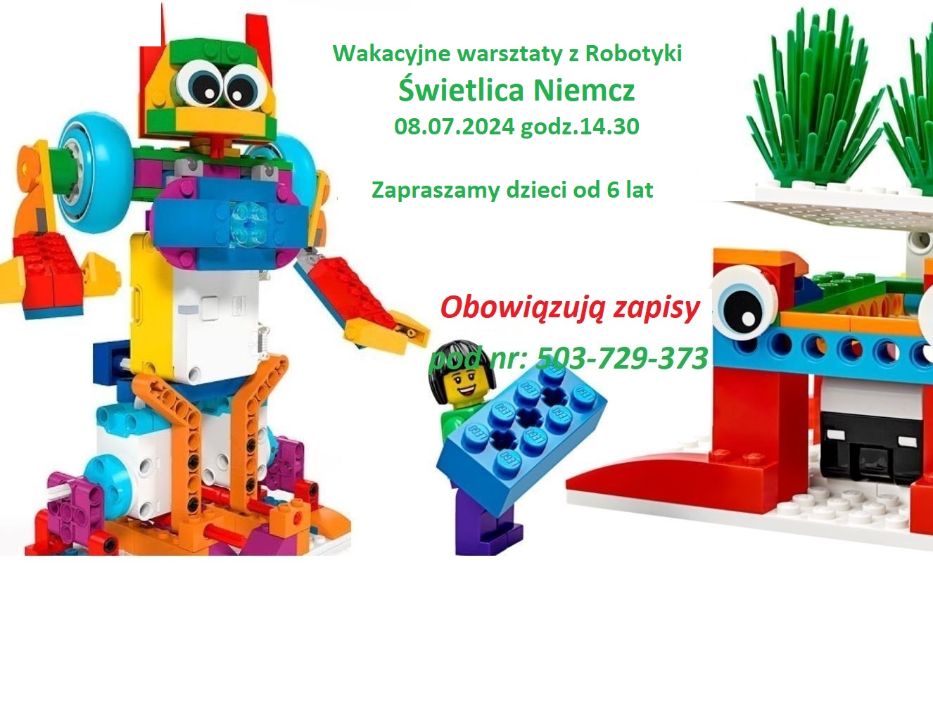 Read more about the article Wakacyjne Warsztaty z robotyki w Świetlicy Niemcz