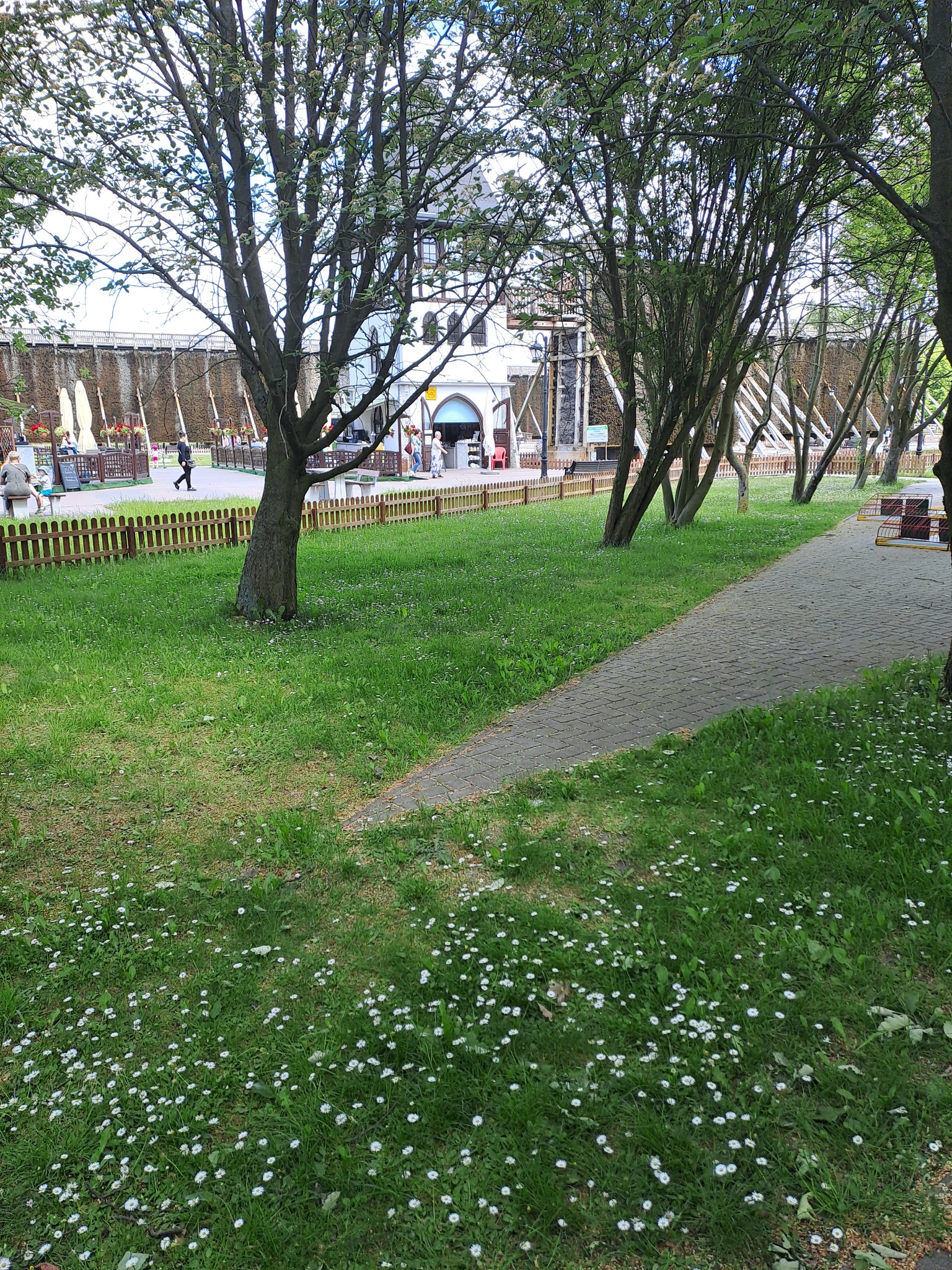 Obraz zawierający na wolnym powietrzu, drzewo, roślina, Architektura krajobrazu

Opis wygenerowany automatycznie