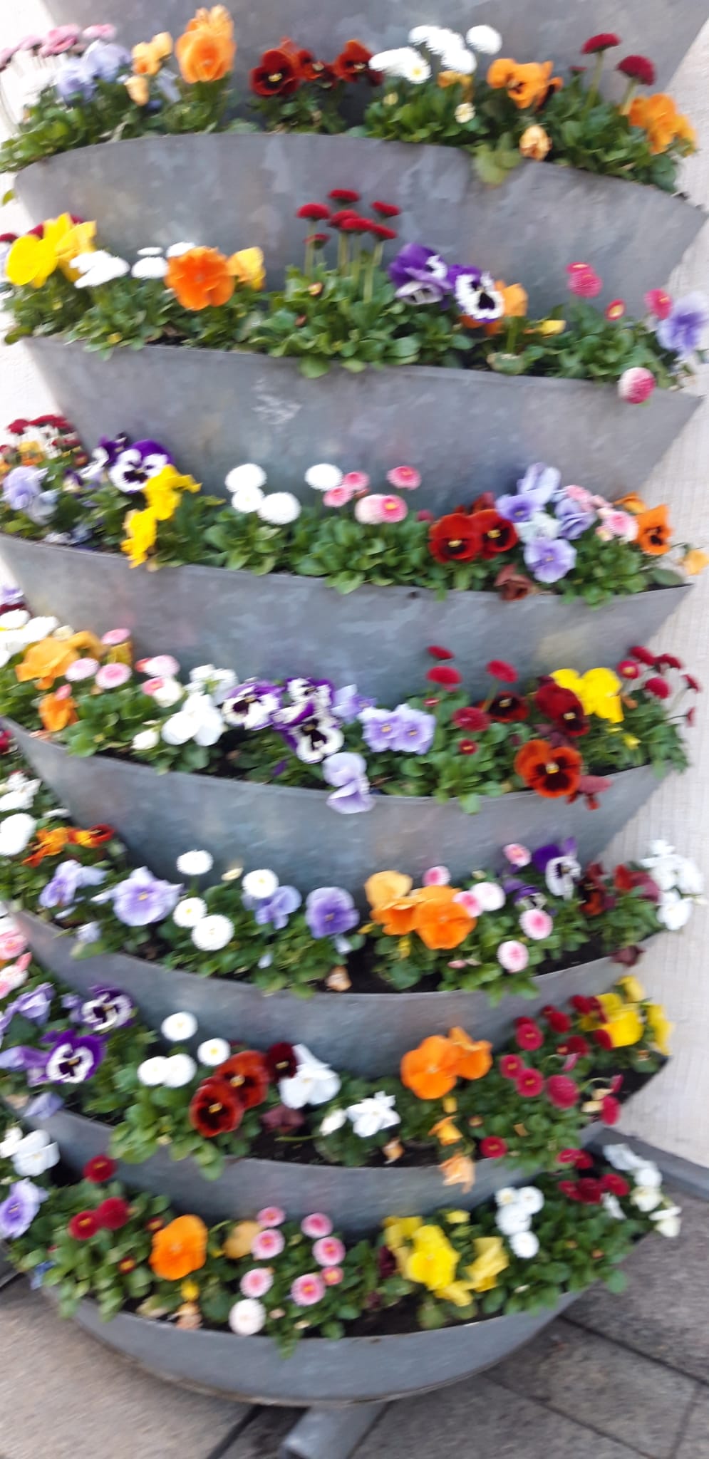 Obraz zawierający pogrzeb, Kwiatowy wzór, Florystyka, kwiat

Zawartość wygenerowana przez sztuczną inteligencję może być niepoprawna.