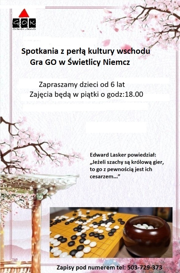 Read more about the article Gra w GO w w Świetlicy w Niemczu