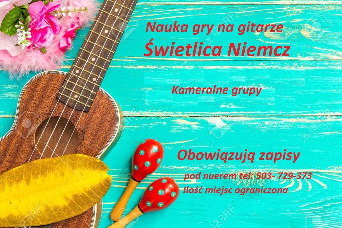 Read more about the article Zajęcia z gry na gitarze w Niemczu